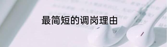 最简短的调岗理由