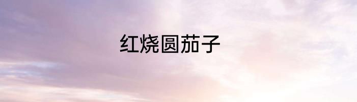 红烧圆茄子