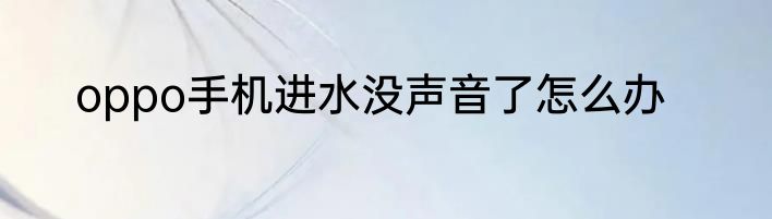 oppo手机进水没声音了怎么办