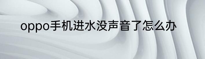 oppo手机进水没声音了怎么办