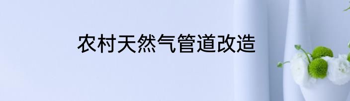 农村天然气管道改造