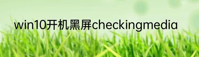 win10开机黑屏checkingmedia