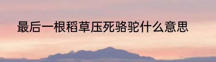 最后一根稻草压死骆驼什么意思