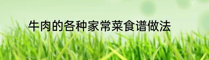 牛肉的各种家常菜食谱做法