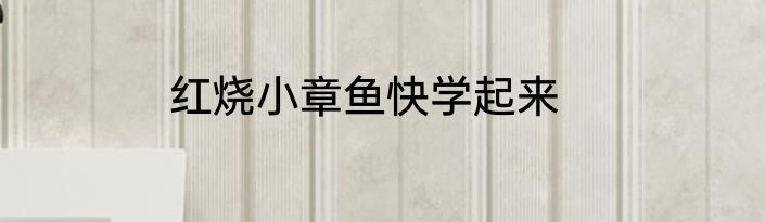 红烧小章鱼快学起来