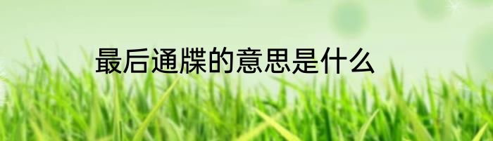 最后通牒的意思是什么