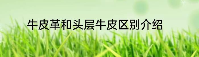 牛皮革和头层牛皮区别介绍