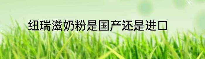 纽瑞滋奶粉是国产还是进口