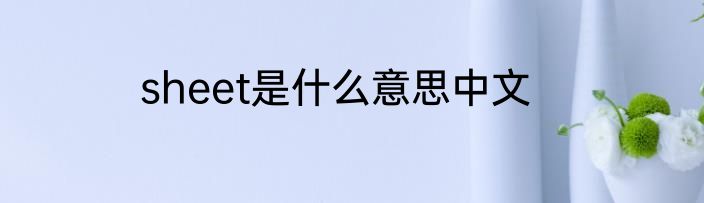 sheet是什么意思中文