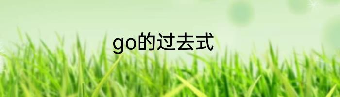 go的过去式