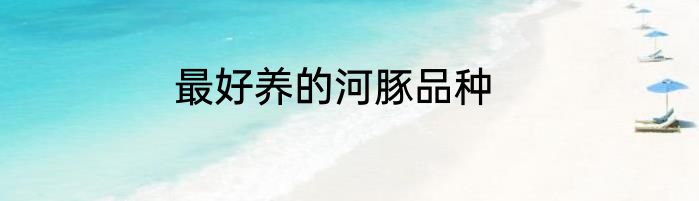 最好养的河豚品种