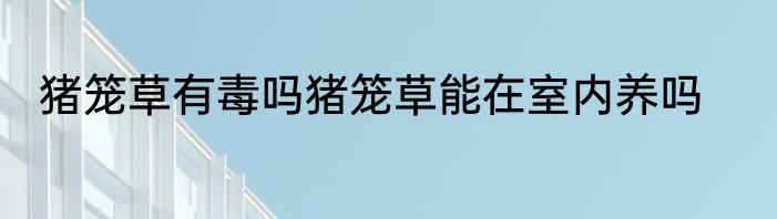 猪笼草有毒吗猪笼草能在室内养吗