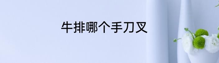 牛排哪个手刀叉