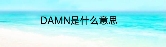 DAMN是什么意思