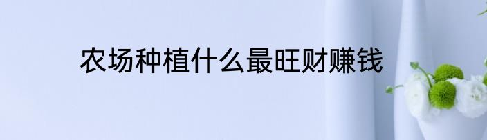 农场种植什么最旺财赚钱