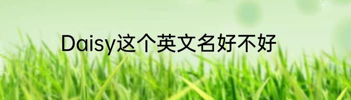 Daisy这个英文名好不好
