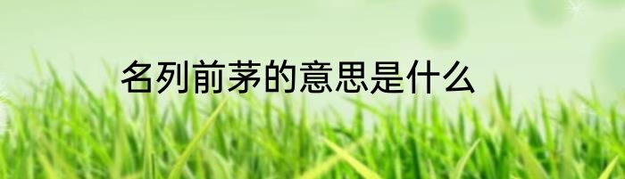 名列前茅的意思是什么