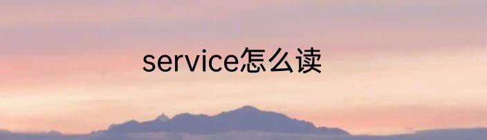service怎么读