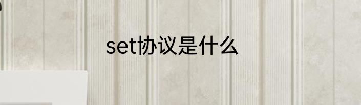 set协议是什么
