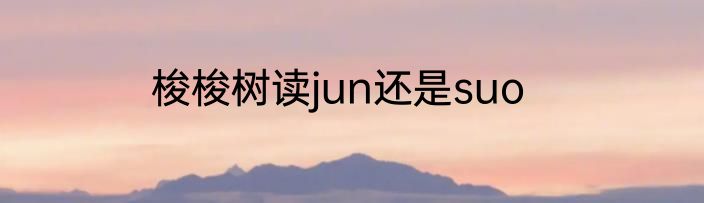 梭梭树读jun还是suo