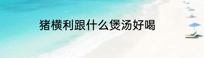猪横利跟什么煲汤好喝
