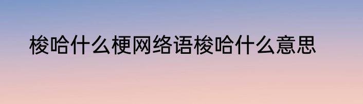梭哈什么梗网络语梭哈什么意思