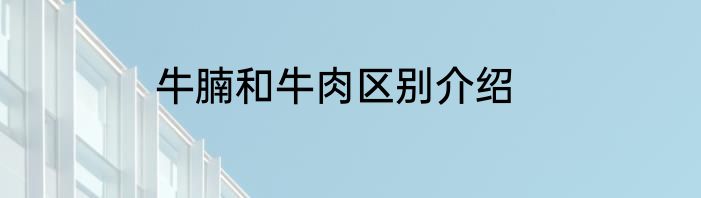 牛腩和牛肉区别介绍