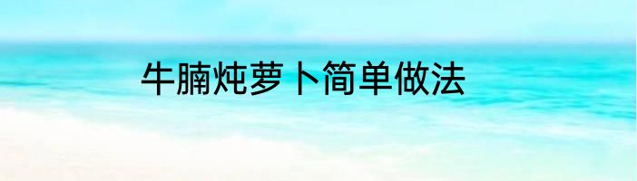 牛腩炖萝卜简单做法