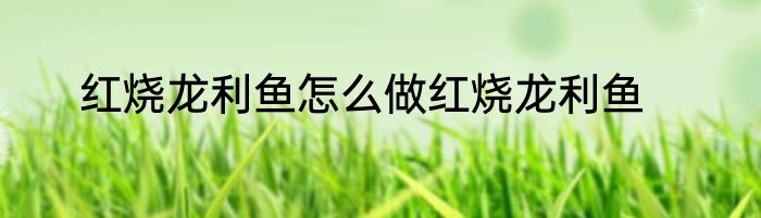 红烧龙利鱼怎么做红烧龙利鱼
