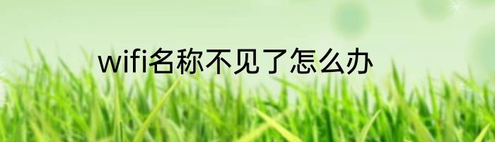 wifi名称不见了怎么办