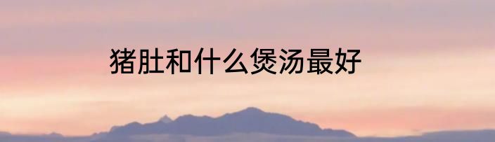 猪肚和什么煲汤最好
