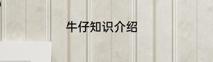 牛仔知识介绍
