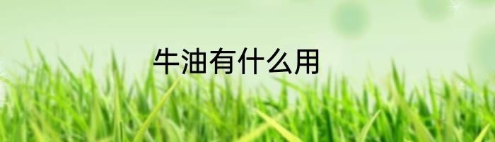 牛油有什么用