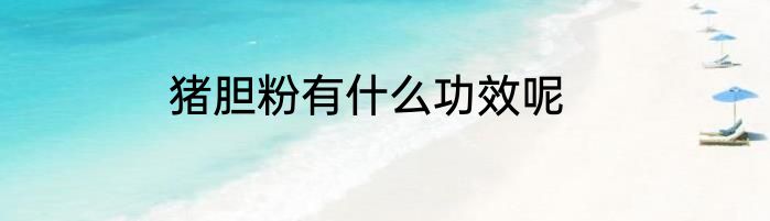 猪胆粉有什么功效呢