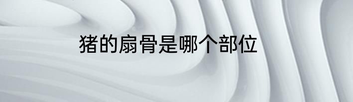 猪的扇骨是哪个部位