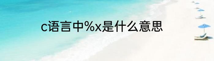 c语言中%x是什么意思