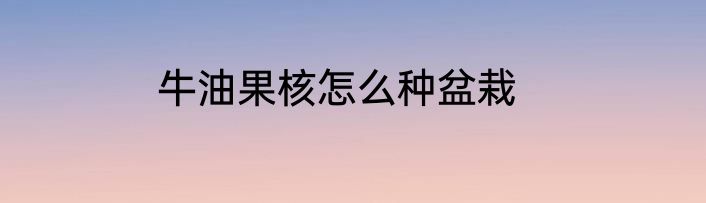 牛油果核怎么种盆栽