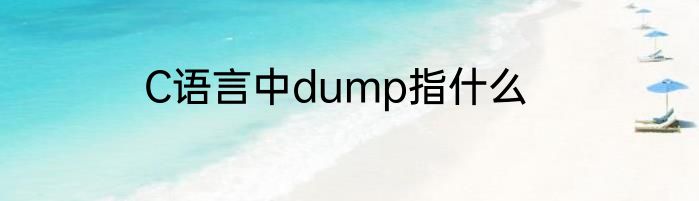C语言中dump指什么