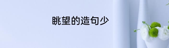 眺望的造句少