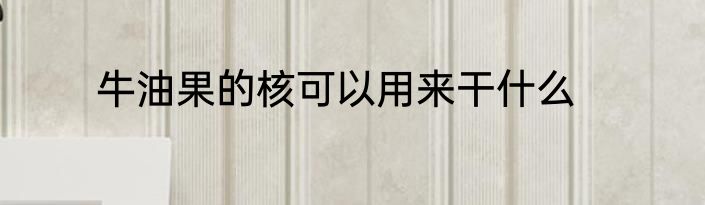 牛油果的核可以用来干什么