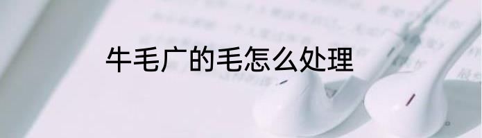 牛毛广的毛怎么处理
