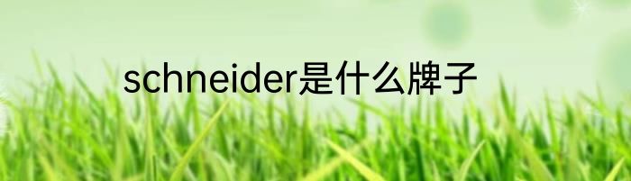 schneider是什么牌子