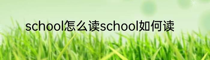 school怎么读school如何读