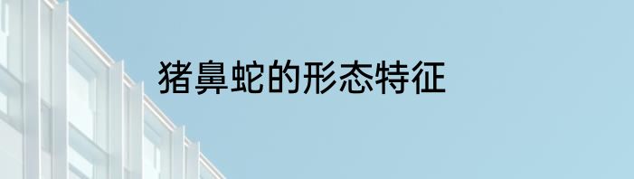 猪鼻蛇的形态特征