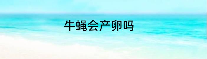 牛蝇会产卵吗