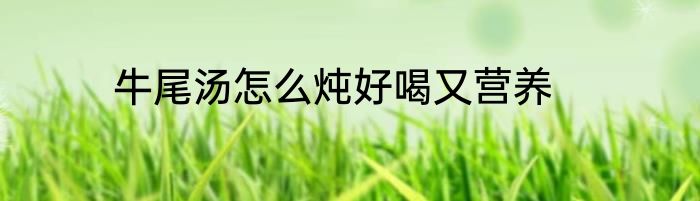 牛尾汤怎么炖好喝又营养