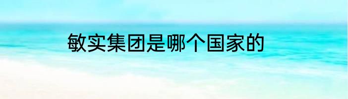 敏实集团是哪个国家的