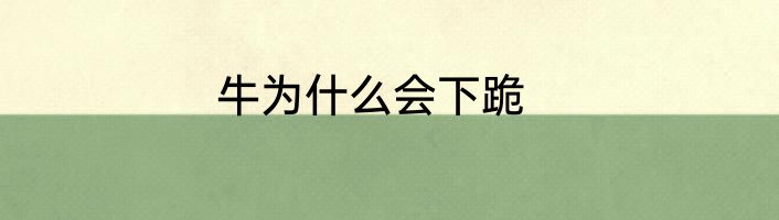 牛为什么会下跪