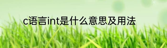 c语言int是什么意思及用法