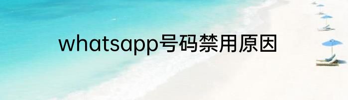 whatsapp号码禁用原因